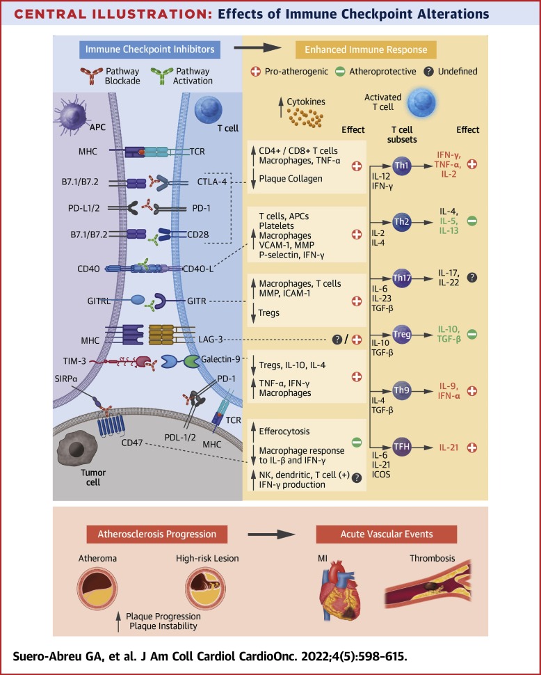 Atherosclerosis With Immune Checkpoint Inhibitor Therapy: Evidence, Diagnosis, and Management: JACC: CardioOncology State-of-the-Art Review